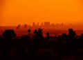What Trends Are Arising In L.A In These Past 12 Months