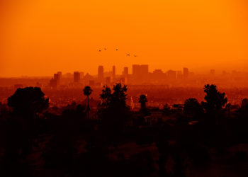 What Trends Are Arising In L.A In These Past 12 Months