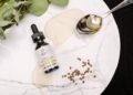 What to Know About the Impact CBD is Making on the Economy