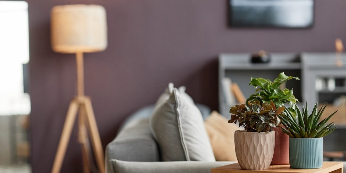 5 Most Common Georgia Spiders (and When You Should Call a Pro)