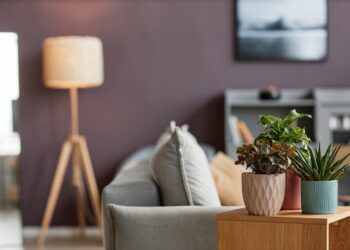 5 Most Common Georgia Spiders (and When You Should Call a Pro)