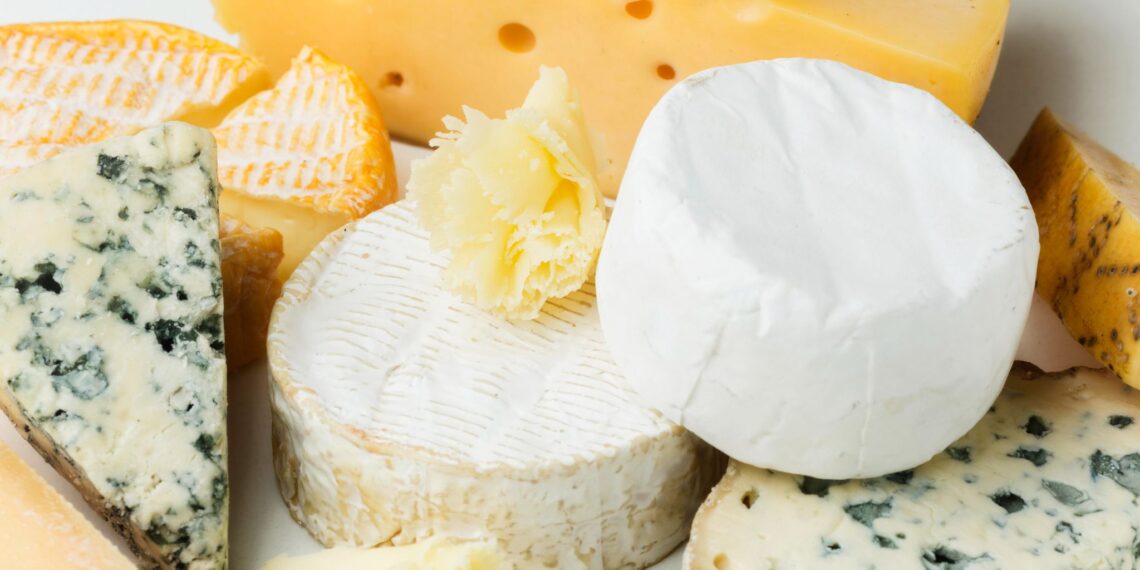 different blocks of cheese