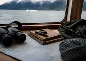 How to pick an icy strait hoonah wildlife tour with real local insight